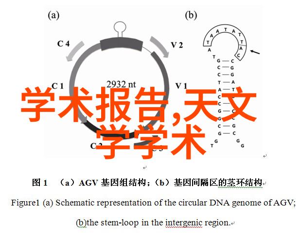 316L不锈钢管规格型号表卫生级快装软管弯头对偶弯曲精准流线美观