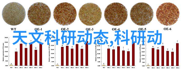 制冷设备配件全解析从压缩机到蒸发器掌握每个关键部件的作用与选择