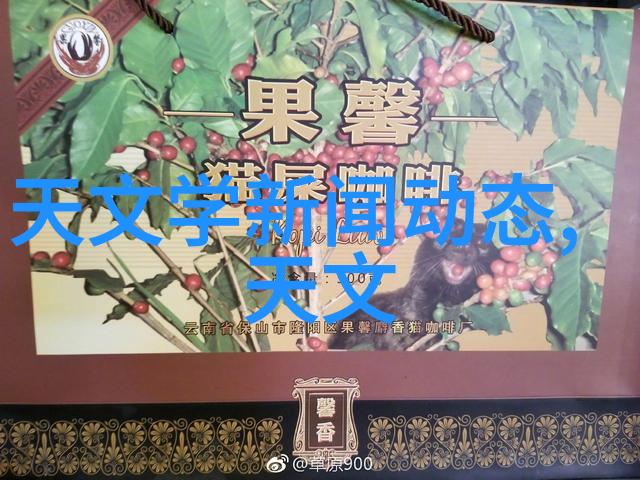 电机种类及用途无刷直流电机与永磁同步电机的差异探究