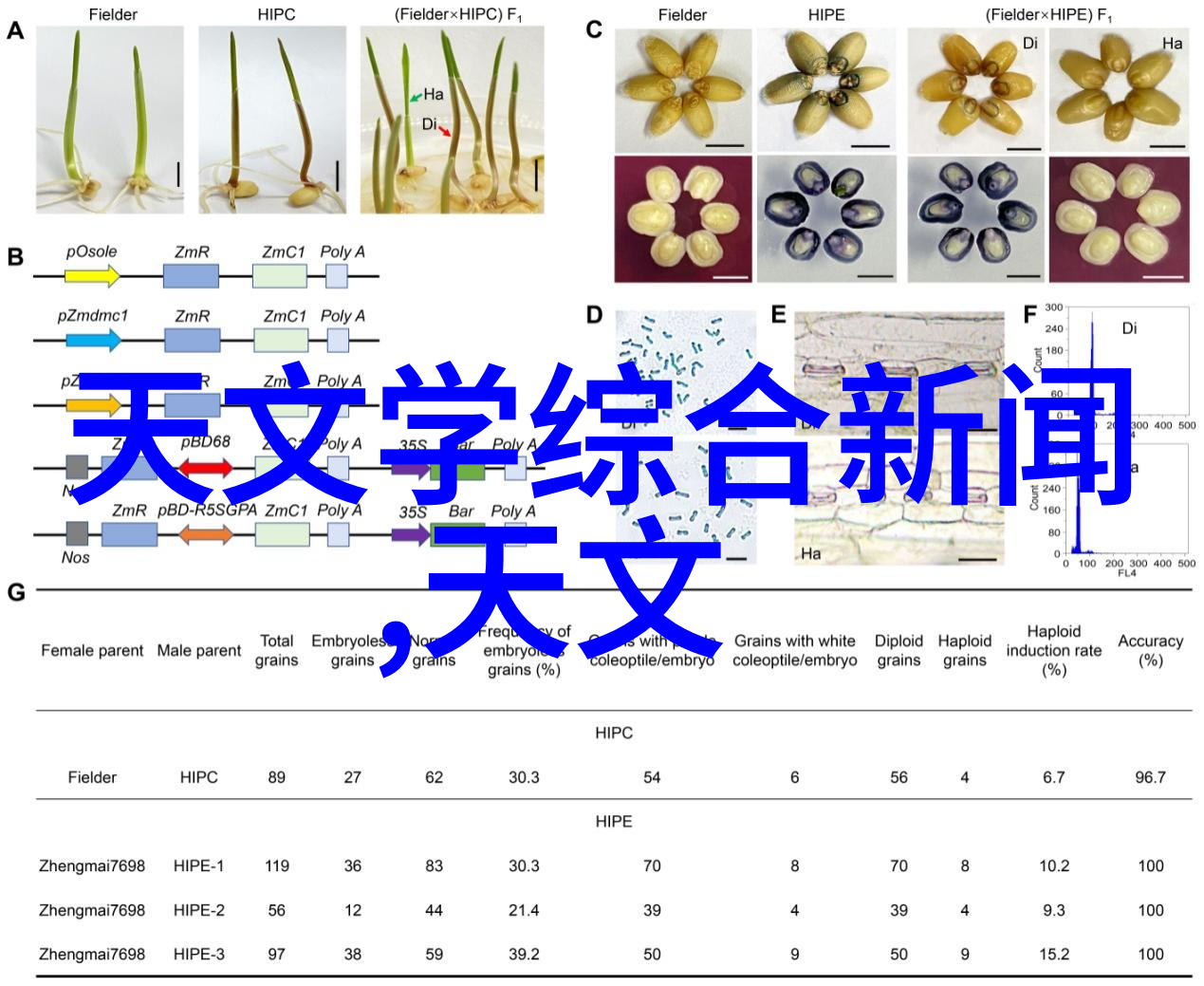 电动汽车的DC-DC变换器开关电源模块犹如心脏的跳动通过精妙的拆解工作原理图展现其生机