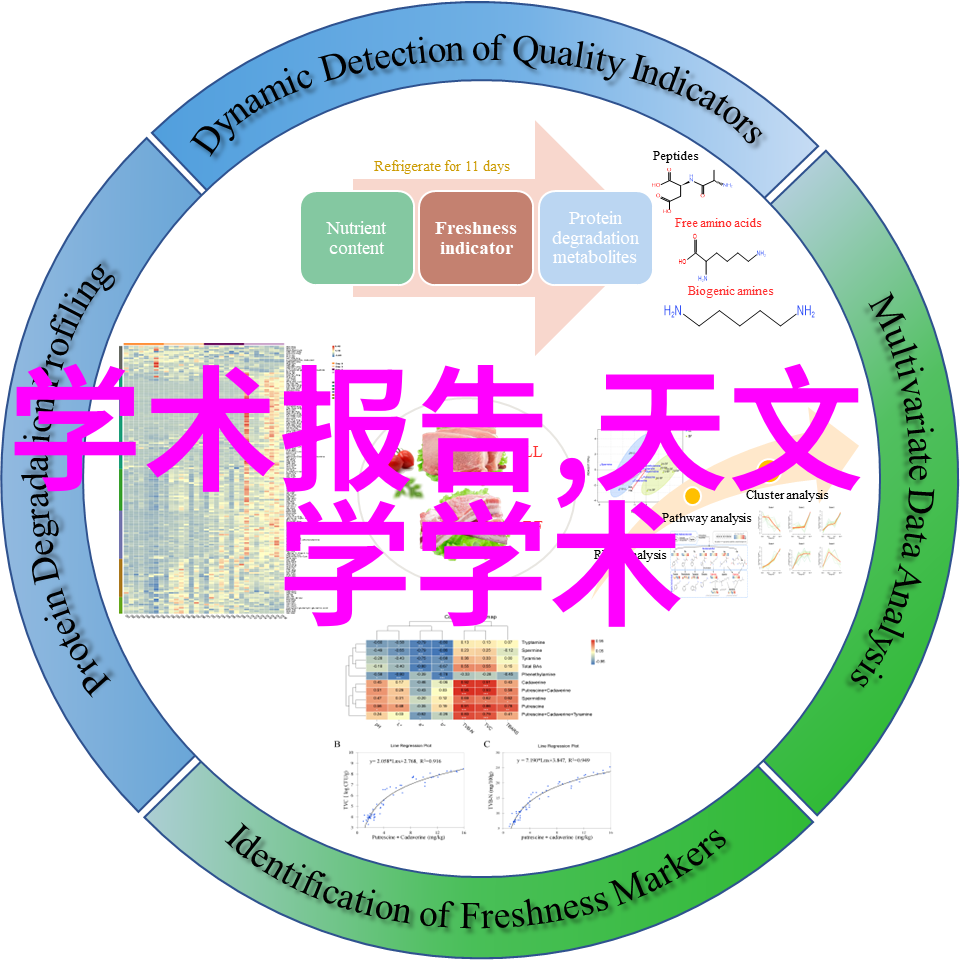 镜头里的幸福婚纱摄影店如何塑造甜蜜记忆