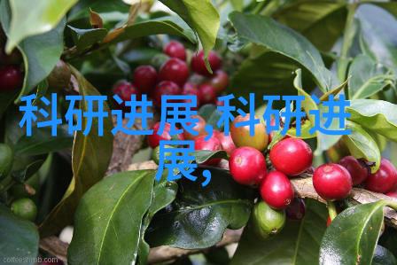 干燥设备厂我在这里见证了物料的转变从湿润到干燥