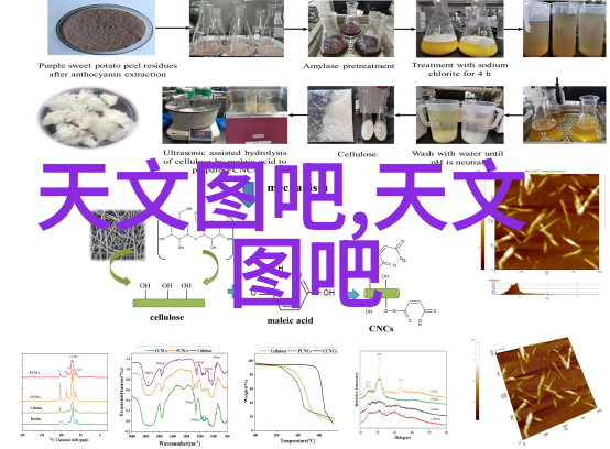 四川托普信息技术职业学院青春梦想的起点与飞翔