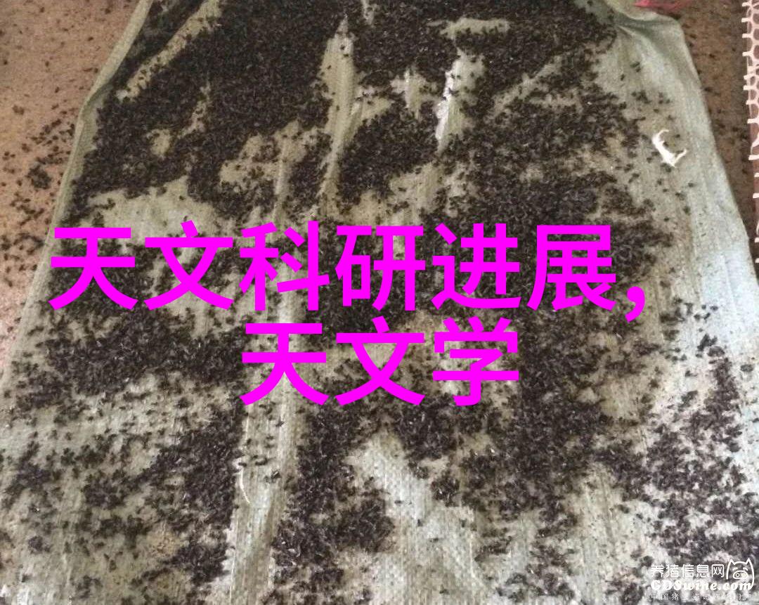 向财政部门申请项目资金的详细报告编制指南