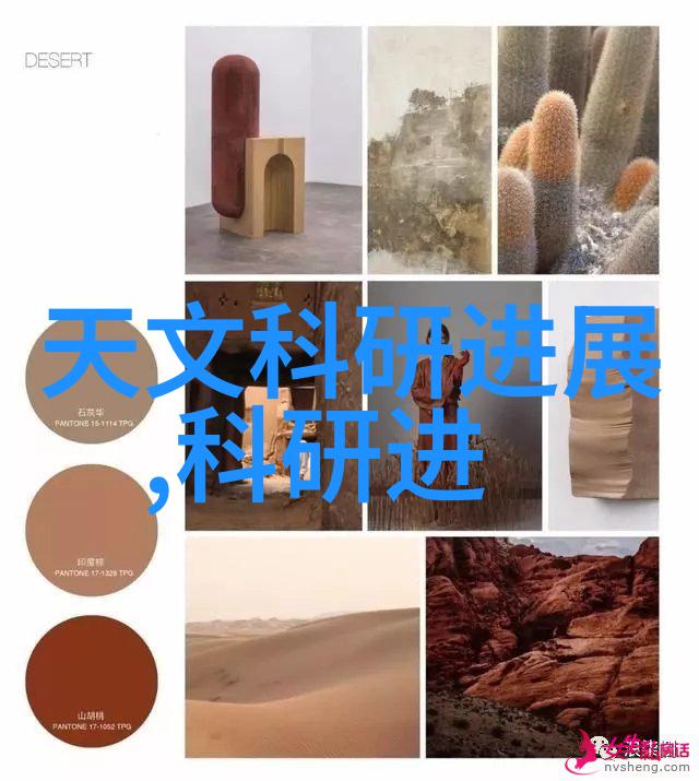 妈妈的朋友4探索中字安的世界