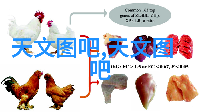 医用反渗透水处理设备我是怎么学会爱上这台神器的