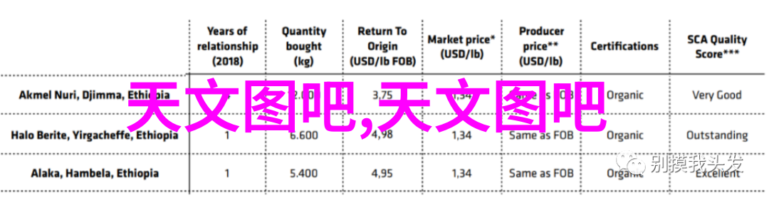 微波炉烹饪小技巧如何快速健康蒸米饭