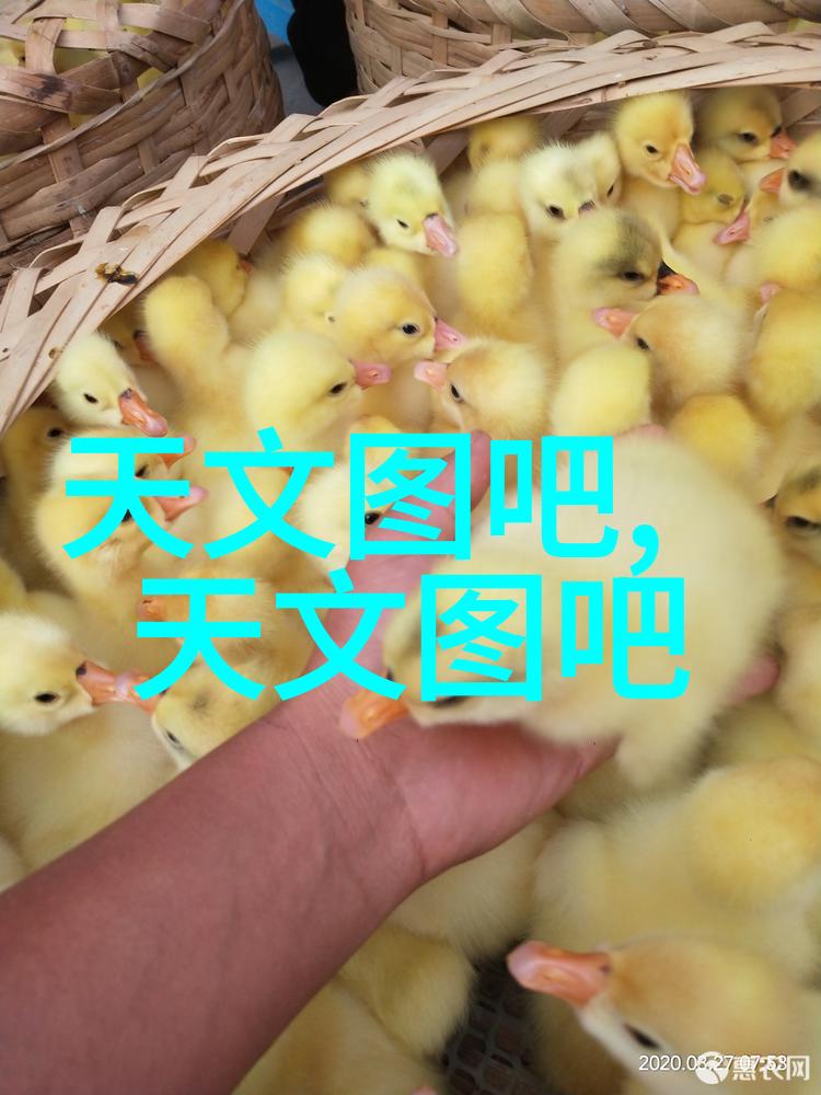 塑料反应釜生产厂家-高品质工业用塑料反应釜的选择与应用