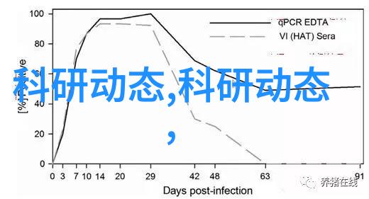 镜头下的瞬间捕捉生活的美妙瞬间