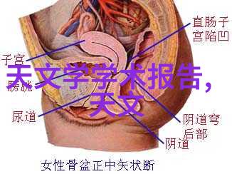 厨房卫生间独立装修创造私人空间的艺术探索