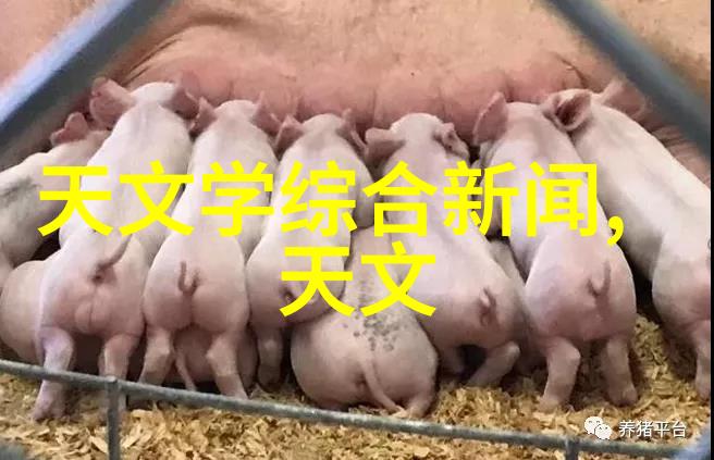 蒸汽之心冷凝机组的秘密歌谣