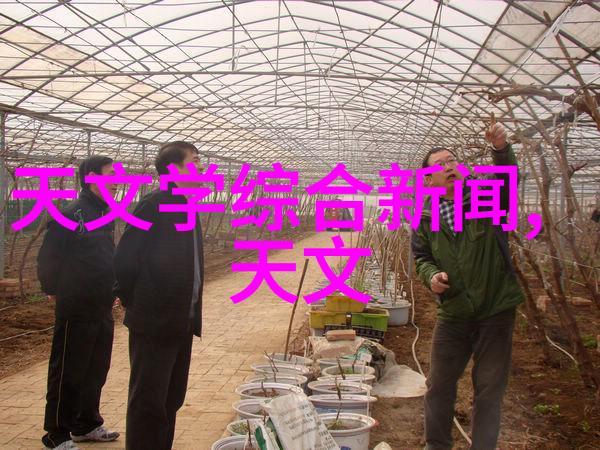 构建和谐社会实践报告系统框架与操作指南