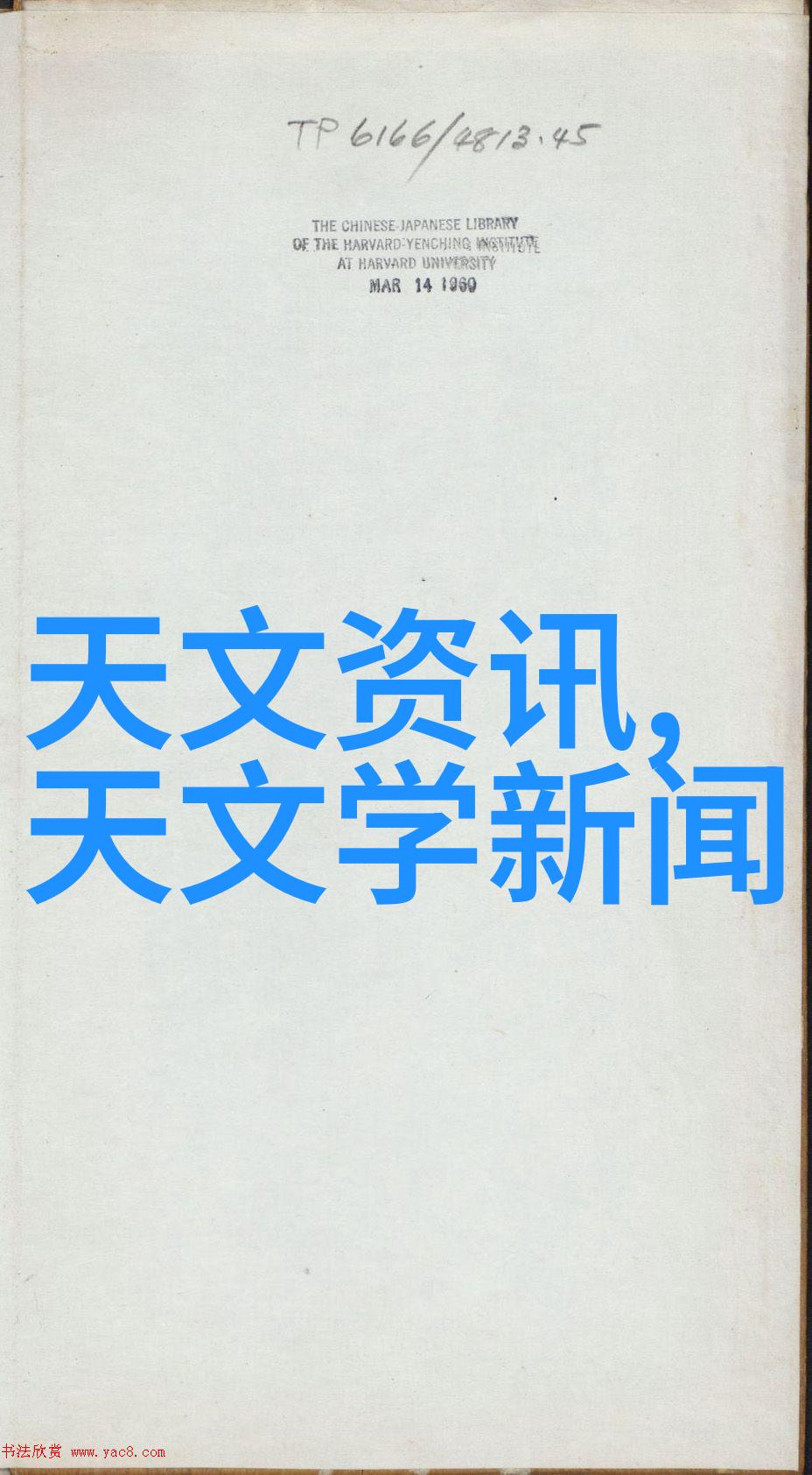 镜头下的梦想探索索尼单反的艺术世界