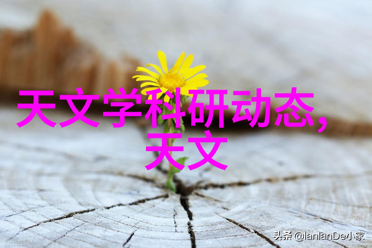 央行货币政策利率调整周期中央银行定期审视并调整利率