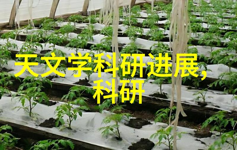 厨房门装修效果图中的5大色彩搭配技巧