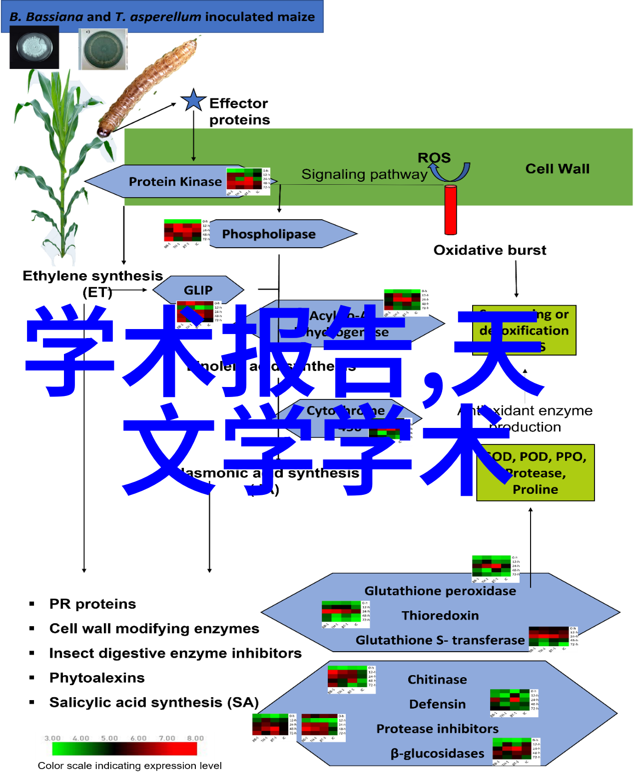 洗衣机与空调级别选择家庭用电效率的双重考量