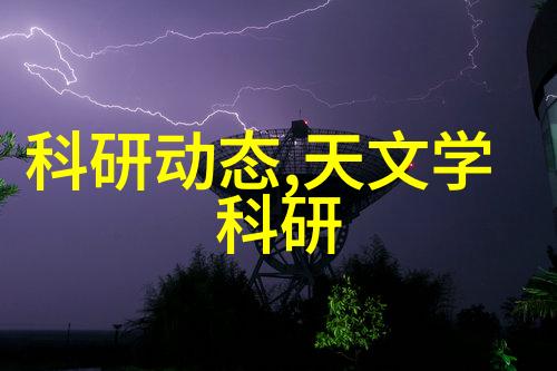 烤红薯的微波秘方让家常食物变身艺术品