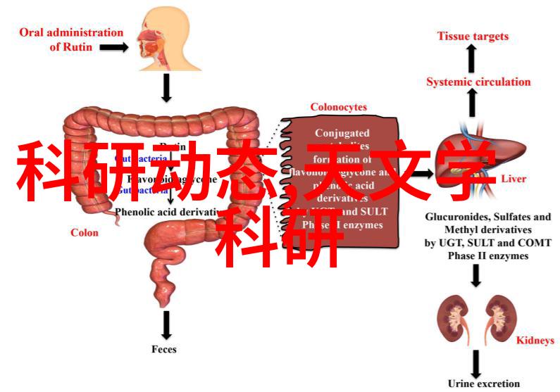 掌握摄影基础拍摄技巧入门教程指南