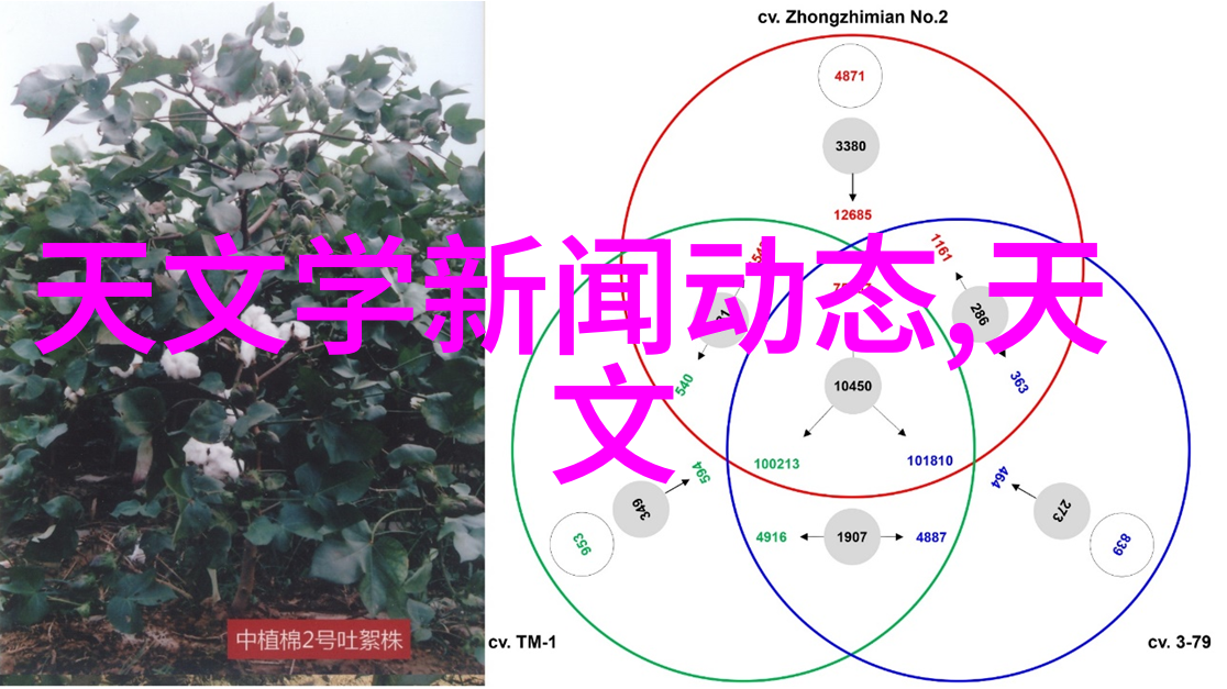 家庭客厅装修图片我的梦想客厅从零到英雄的装修日记