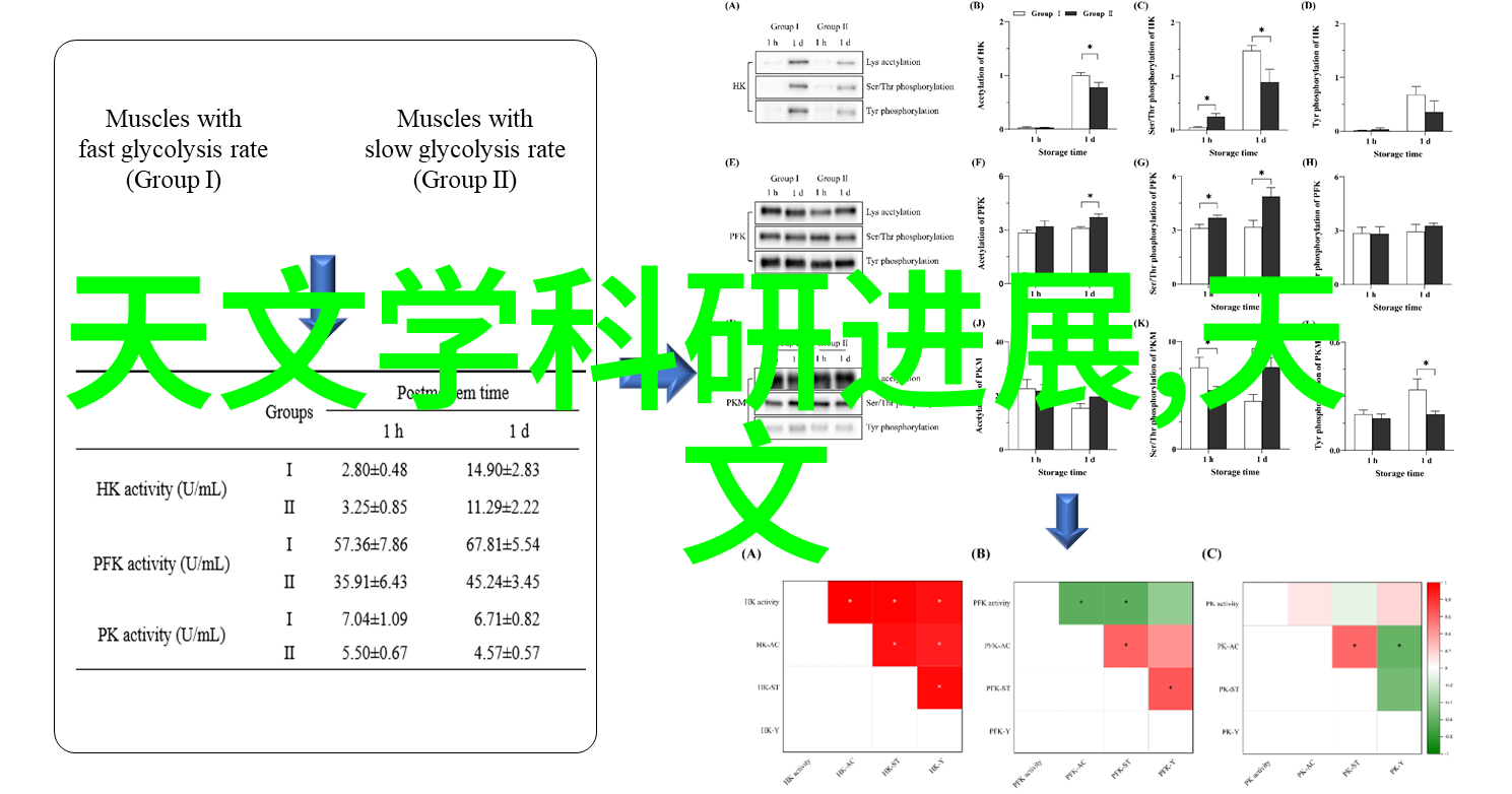 国内外最新趋势如何影响未来学员的学习方向