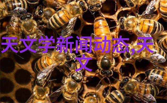 探索生物实验室的精密设备从微量泵至PCR机器