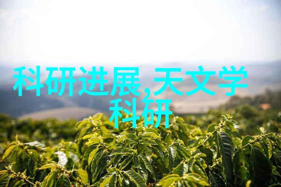 沐风网揭秘楼上漏水之谜与处理技巧楼下应对策略大公开