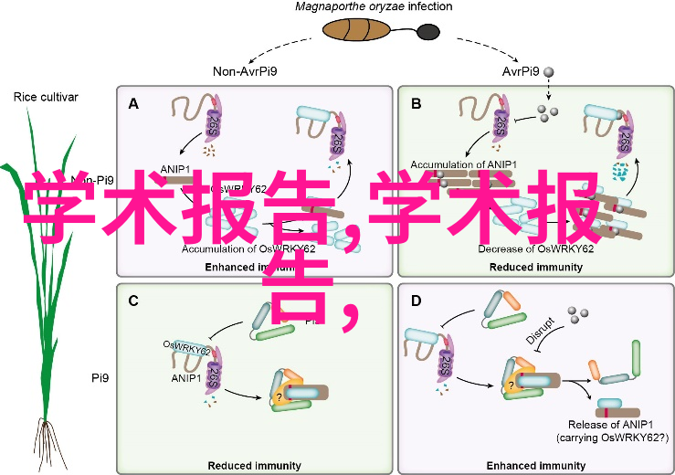 银幕背后的故事最新电影与电视剧的创意潮流