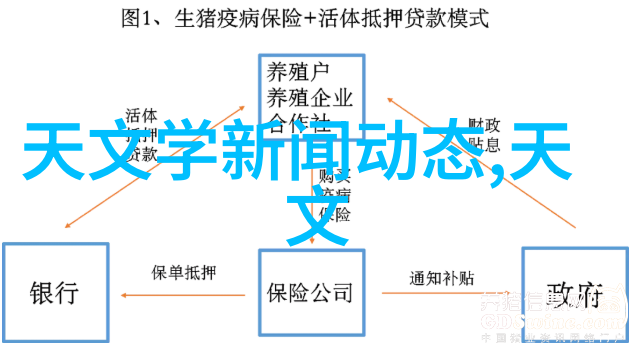 职业回顾从梦想起航到成长的港湾