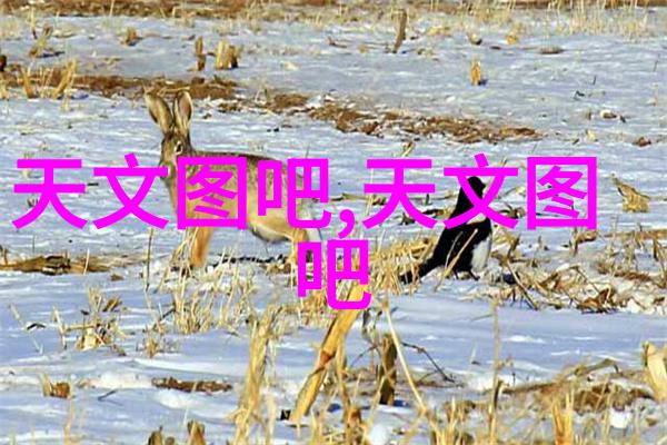 技术探究 - 无损检测的奥秘揭开数据完整性的神秘面纱