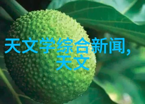 项目管理与策略优化PPP模式下的创新实践