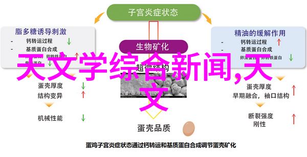 中国化工行业走势分析与投资策略分享会