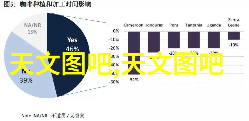 审计报告解读揭示企业真实财务状况的钥匙