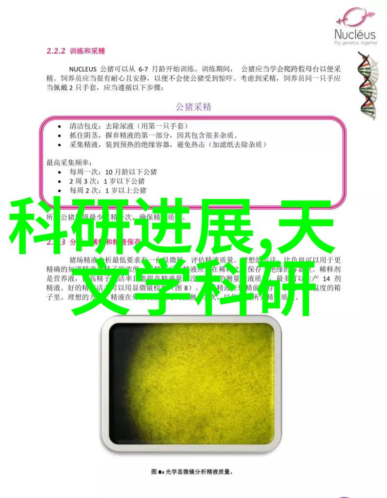 网页设计与开发基础数字媒体新手必备技能