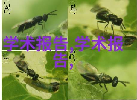 公司装修小贴士笑到最后的预算大师