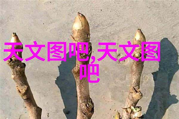 探索数字化时代下的传感器应用新趋势