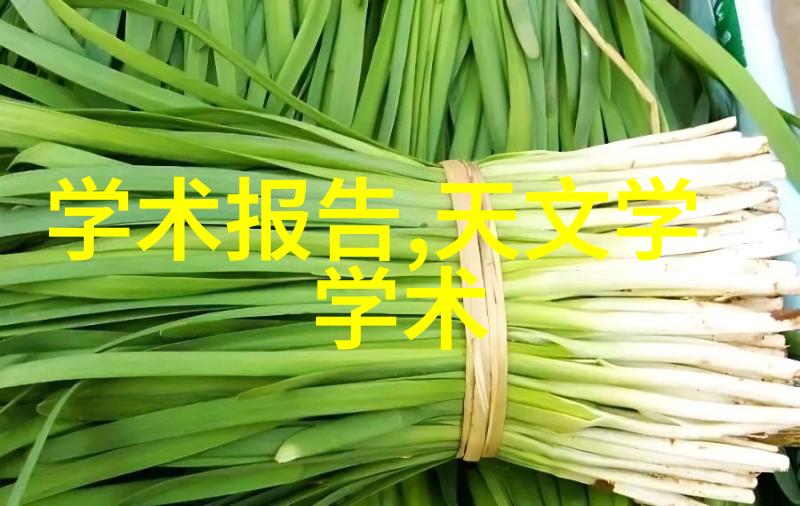 家居翻新大师揭秘最佳旧房装修公司排行