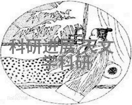 水利设施-揭秘地漏的工作原理与日常维护