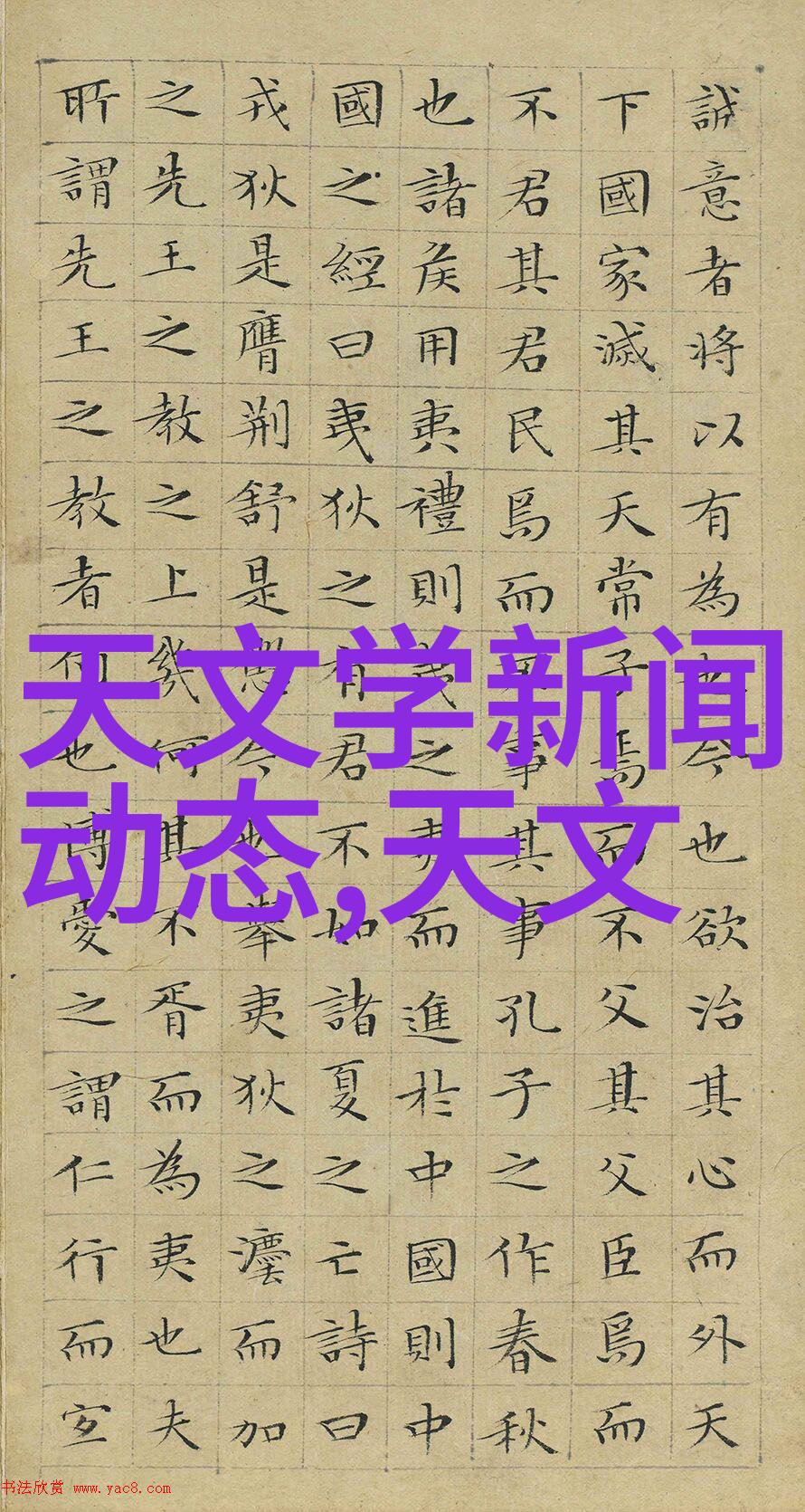 项目资金申请报告我是如何用一份精彩的报告说服投资者支持我的梦想项目的