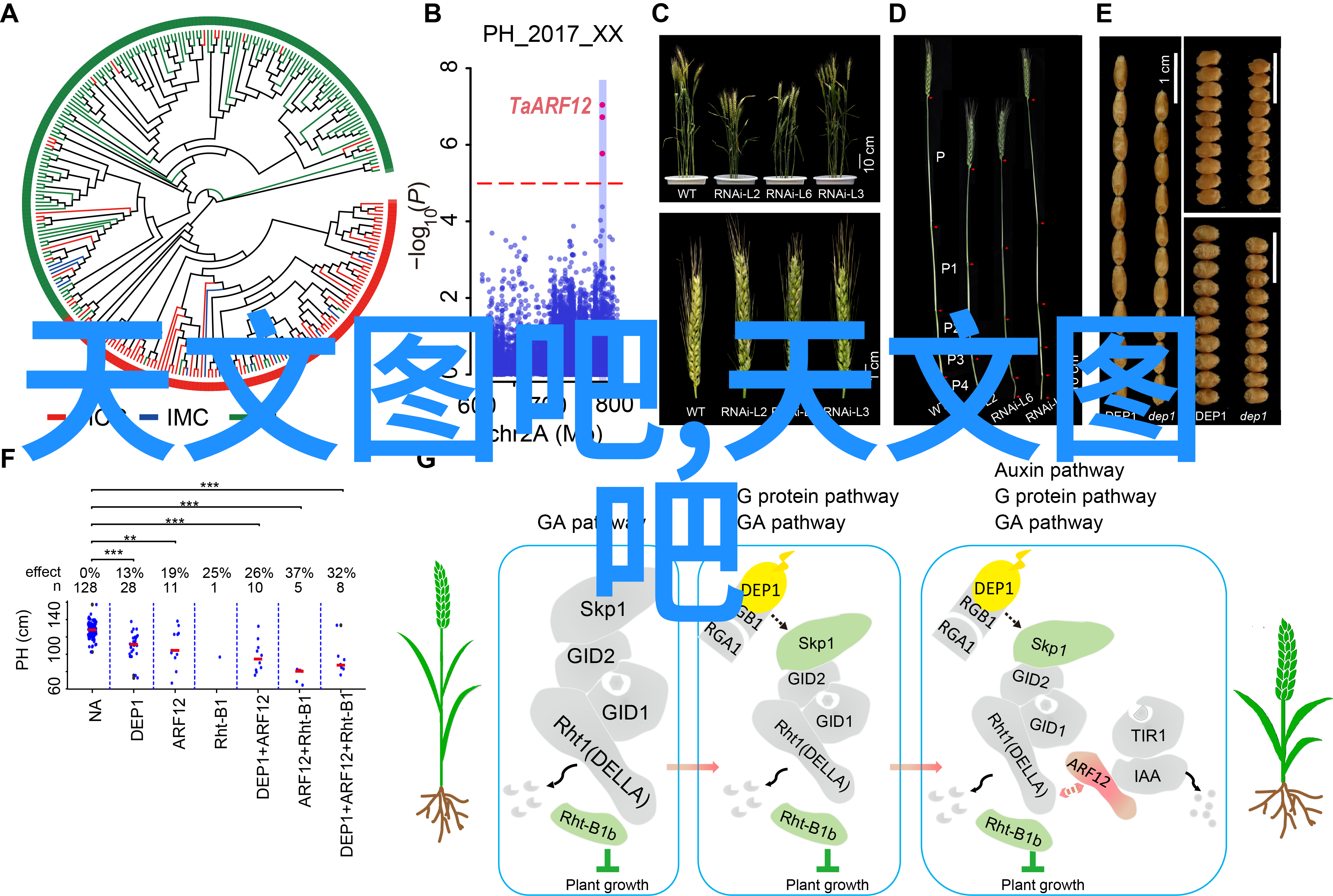 青春瞬间分析那些成功在2022年获得荣誉的拍照技巧