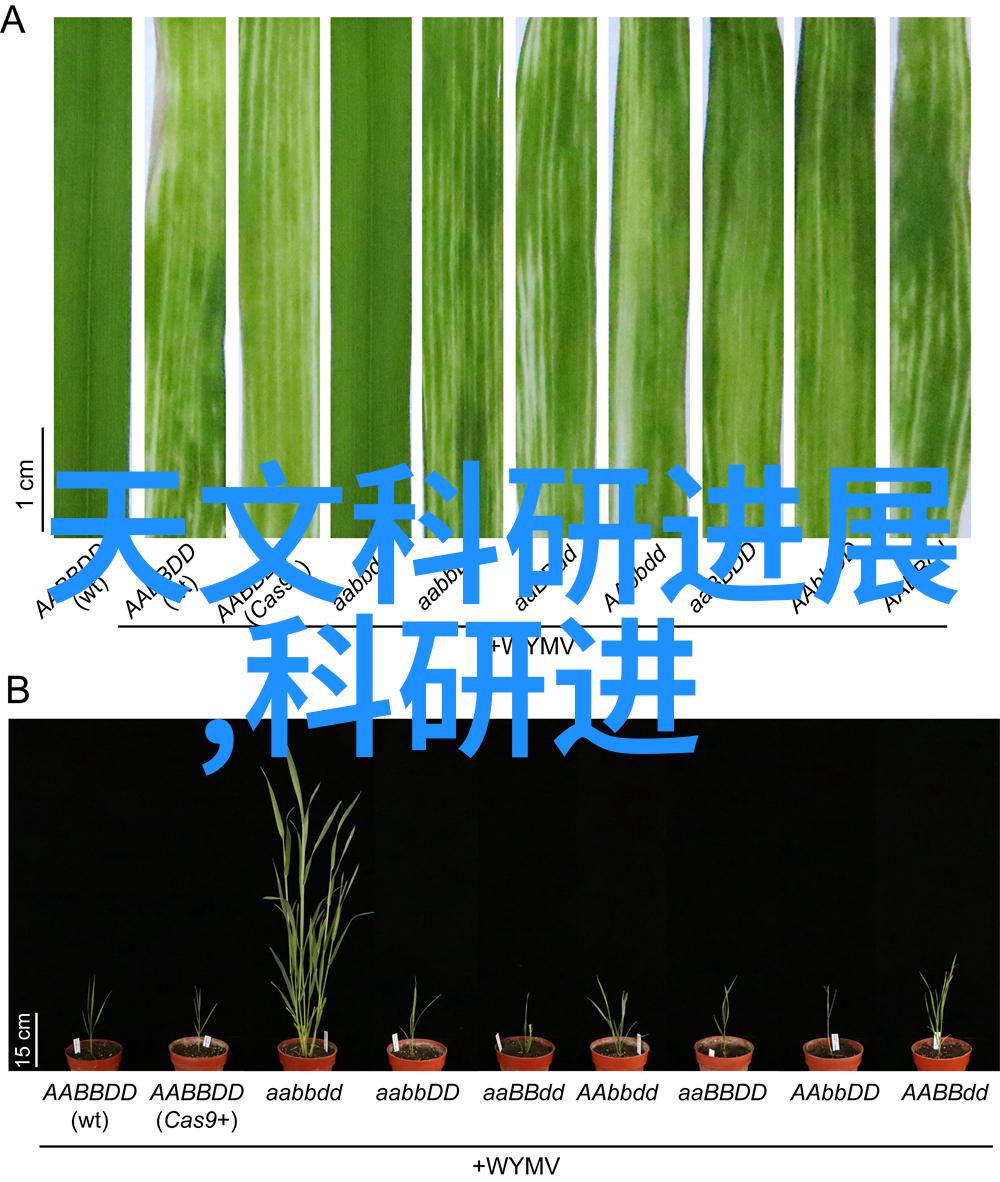 家装客厅设计图效果图大全家庭美学空间规划室内装饰灵感大汇集