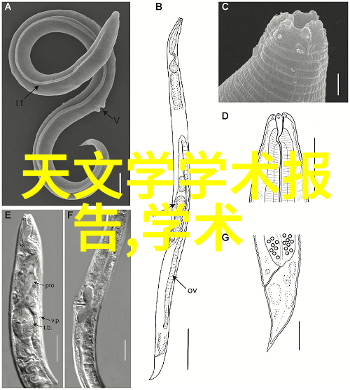 邢台市科胜DZ-8 进口自动折纸机