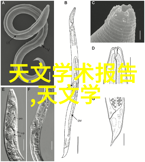 在装修主卧时你是否已经考虑到了这些关键点以确保预算不被超支