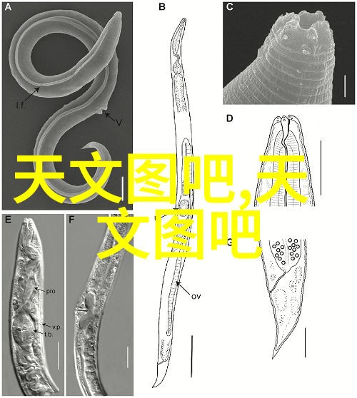 水电安装全包价格表我来告诉你个好消息