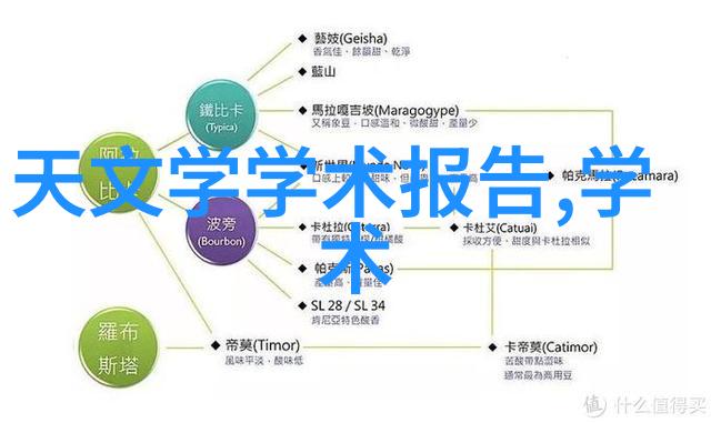 编织报告之网模板的抽象诗篇