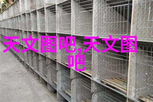 智能手表2023穿在手上的科技大师告别手机拥抱无线生活