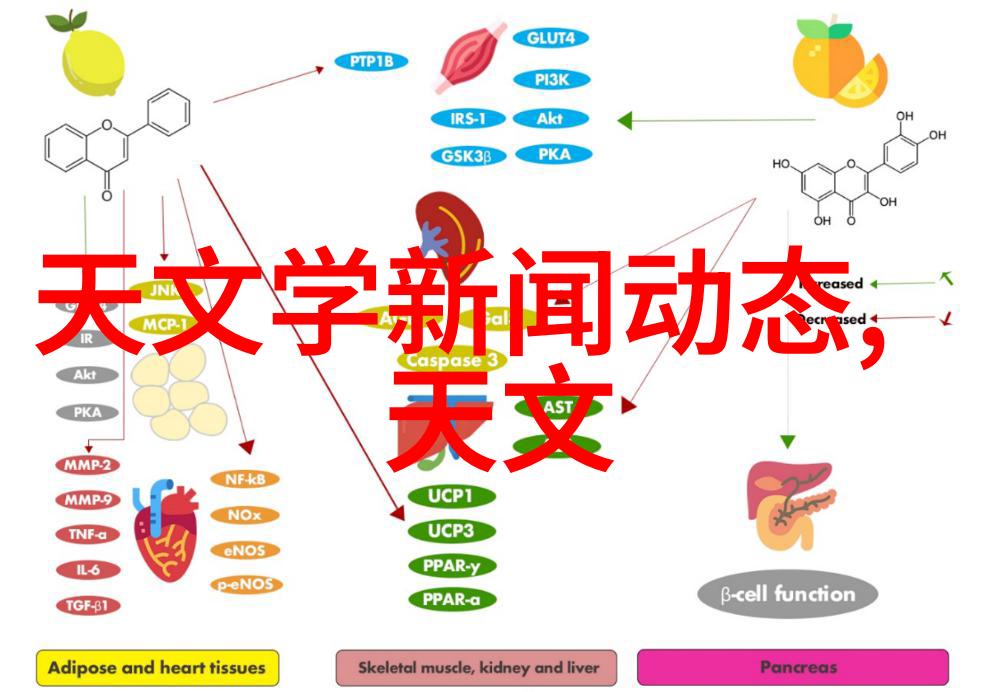 镀锌管型号规格表精密铸造镀锌管尺寸标准