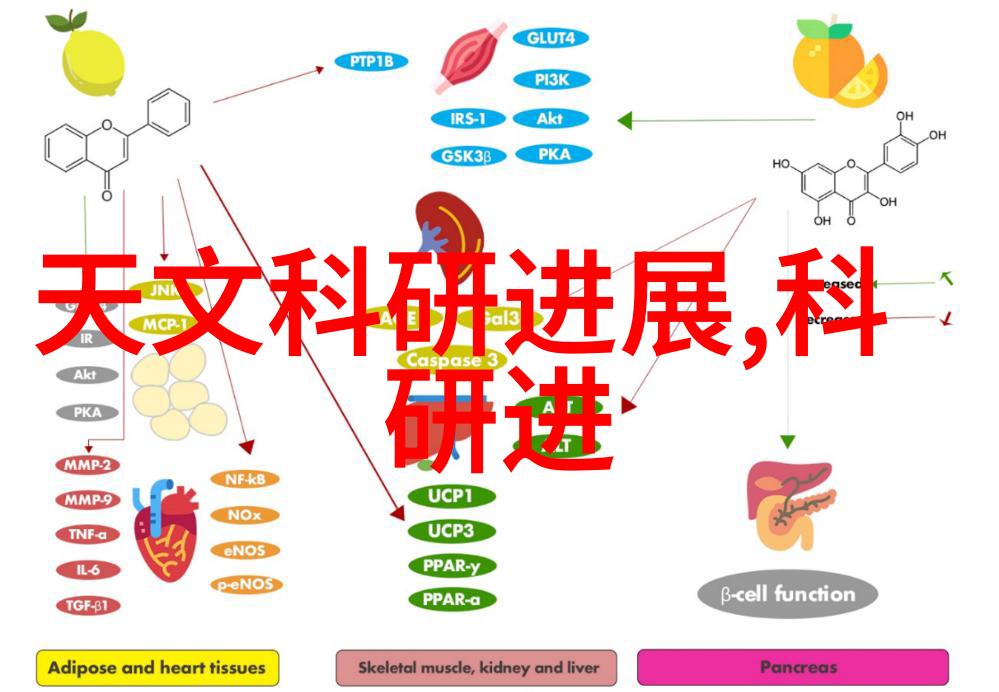 南卡LITE PRO II蓝牙耳机在自然风光中追求卓越测评实录