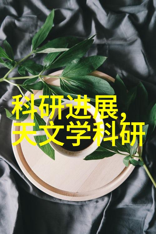 摄影家我的镜头见证者