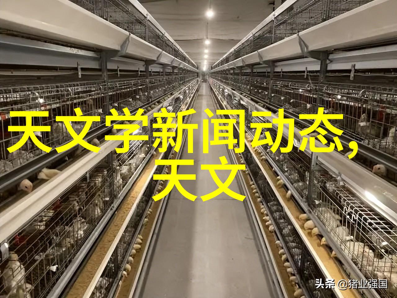 浪漫绽放婚纱照背后的故事与技巧