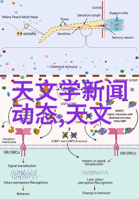 沉沦txt虚拟世界的末日